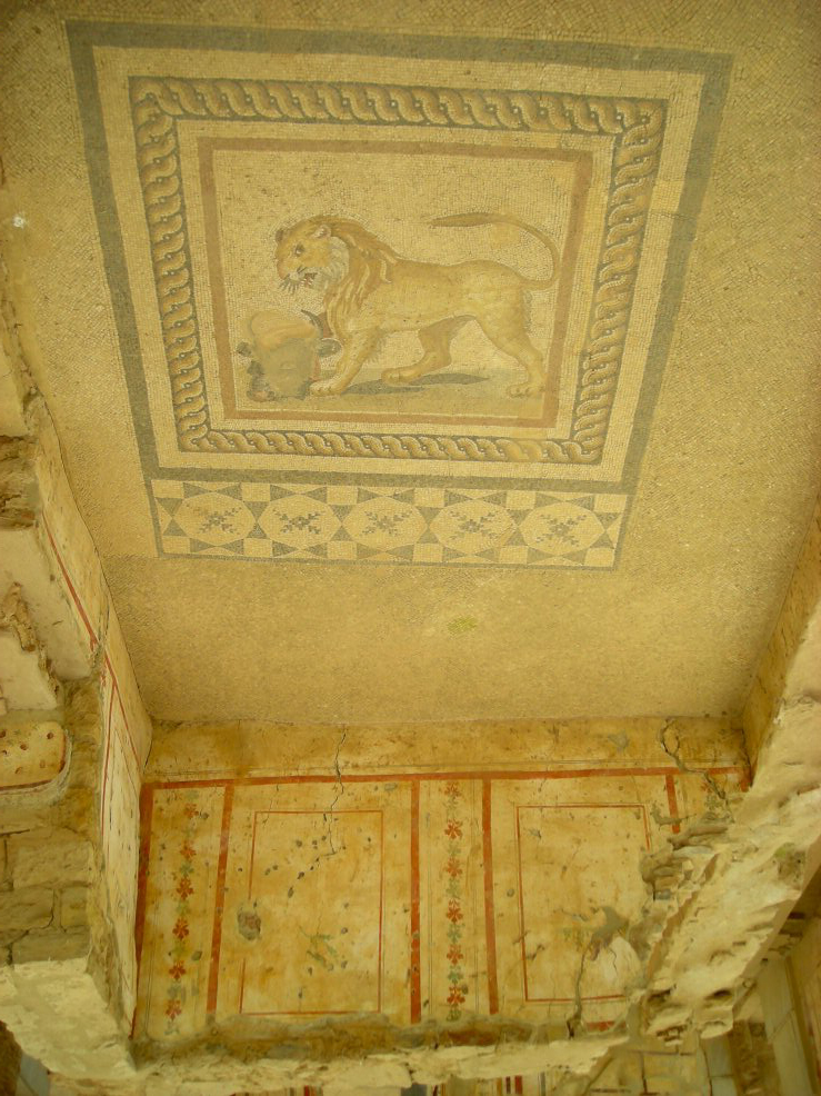 lion_floor